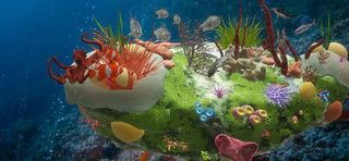 Encuéntrame diviértete descubr - Screenshot 1