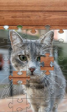 Cats Jigsaw Puzzles Games - Screenshot 1
