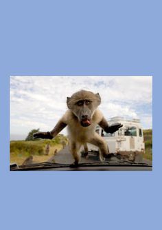 ECD FlashCards - Screenshot 1