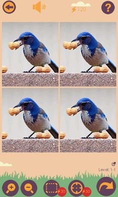 Spot One Odd - Screenshot 1