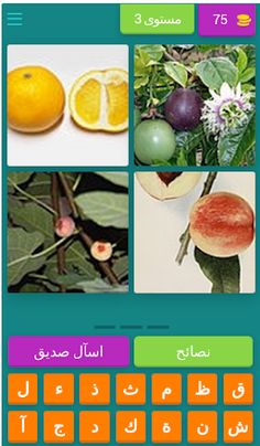 تعرف على انواع الفواكه - Screenshot 3
