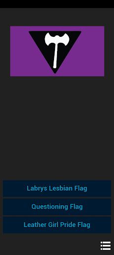 LGBT Pride Flag Quiz by STW628 - Screenshot 1