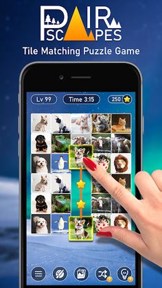 PairScapes: Pair Matching Game - Screenshot 1