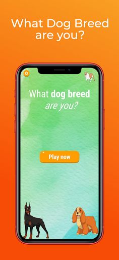 What dog breed are you? Person - Screenshot 1