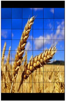 Пазли Українською Photo Puzzle - Screenshot 2