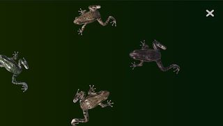 Cat Bat2 - Cat Toy - Screenshot 3