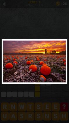 150 Photo Crosswords - Screenshot 4