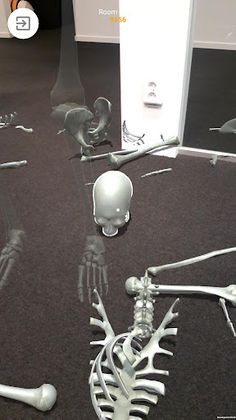 LumbAR - Screenshot 3