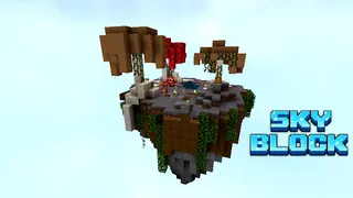 SkyBlock - Screenshot 2