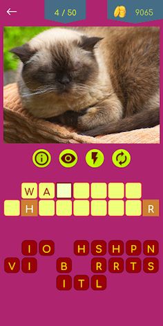 Cat & Dog Breeds Quiz - Screenshot 3