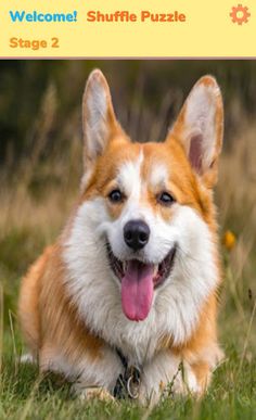 Shuffle Puzzle - Screenshot 1