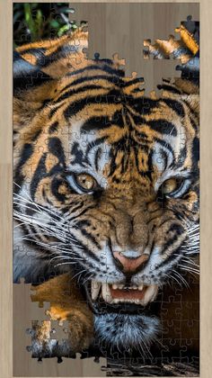 Tiger Jigsaw Puzzles HD - Big  - Screenshot 3