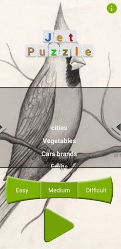 jet puzzle - Screenshot 1