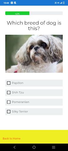 Dog quiz - identify the breeds - Screenshot 3