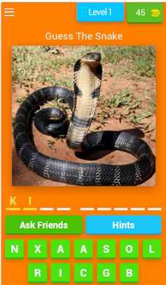 Guess The Word By Picture Quiz - Screenshot 3