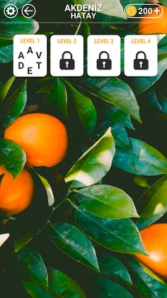 Word Of Tour Turkey - Screenshot 4