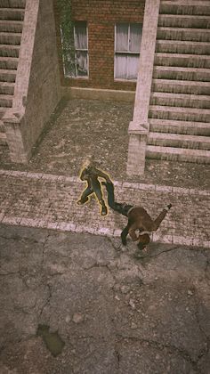 Fight Survive - Screenshot 4