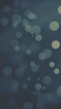 European capitals - Screenshot 2