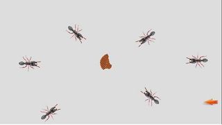 Ant Crush2D - Free Game - Screenshot 1
