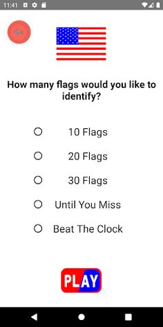 Flag Game - Screenshot 2