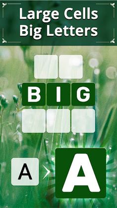 Vita Word for Seniors - Screenshot 2