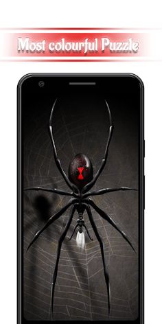 Spider webs : Puzzle game - Screenshot 3