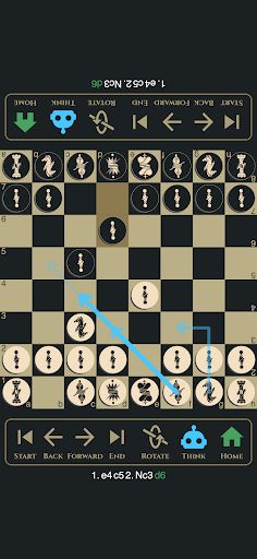 Two Player Chess (2P Chess) - Screenshot 4