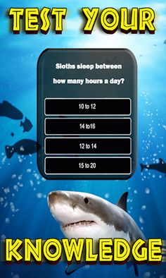 Animals Quiz Wild Creatures - Screenshot 2