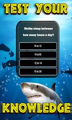 Animals Quiz Wild Creatures - Screenshot 2