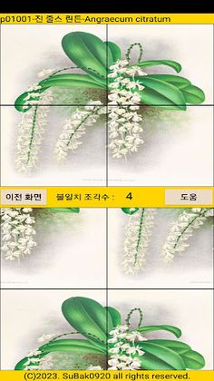 ttpuzzle10 - Screenshot 3