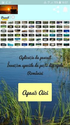 Pescuit - Screenshot 1