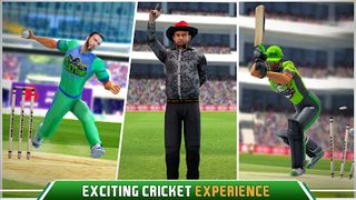 Pakistan Cricket League - Screenshot 2