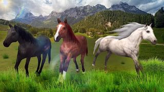 Wild Horse Family Simulator - Screenshot 2