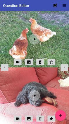 Viz Kids - Screenshot 3