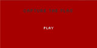 Capture the Flag - Screenshot 2