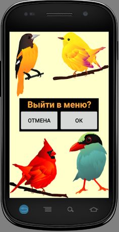 Игра на память. Птицы. 6+ - Screenshot 3