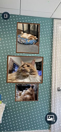 Petricore AR Experiments - Screenshot 3