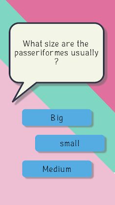 Bird quiz game - Screenshot 2