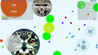 Petri Dish - Screenshot 3