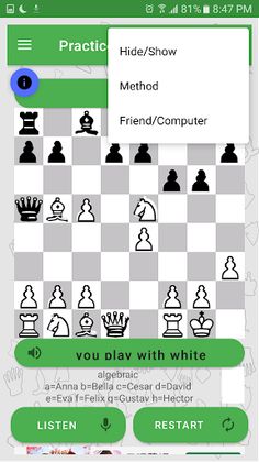 Blindfold Chess Offline SP - Screenshot 2