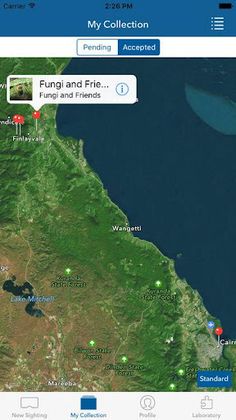 Ranger Vision - Screenshot 4