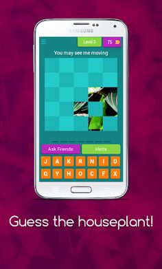 Guess the houseplant! - Screenshot 4