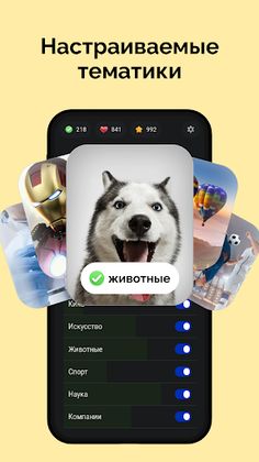 Викторина без интернета. Квиз - Screenshot 2