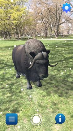 Planet Ice AR - Screenshot 3