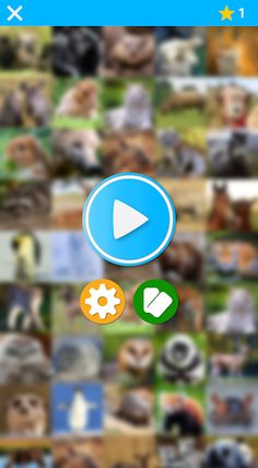 Pairs: Animals Pro - Screenshot 2