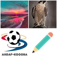 4 FOTOS 1 MOT - Screenshot 2