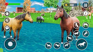 Wild Horse Family Life Game - Screenshot 2