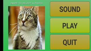 Puzzle Picture - Screenshot 1