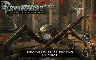 Ravensword: Shadowlands - Screenshot 3