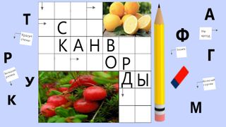 Сканворды легкие без интернета - Screenshot 1